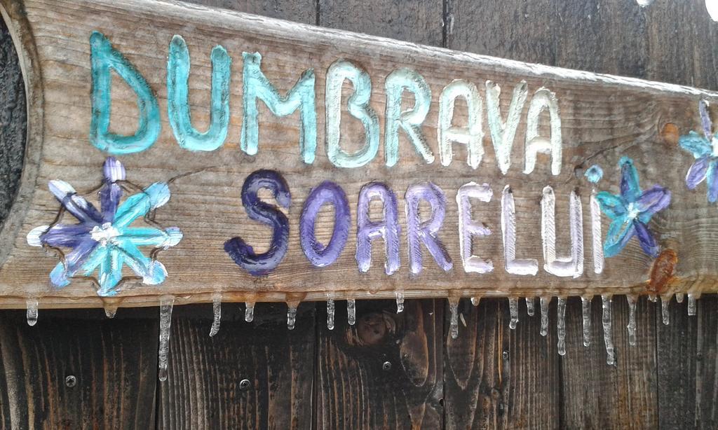 Hotel Dumbrava Soarelui Brașov Exterior foto