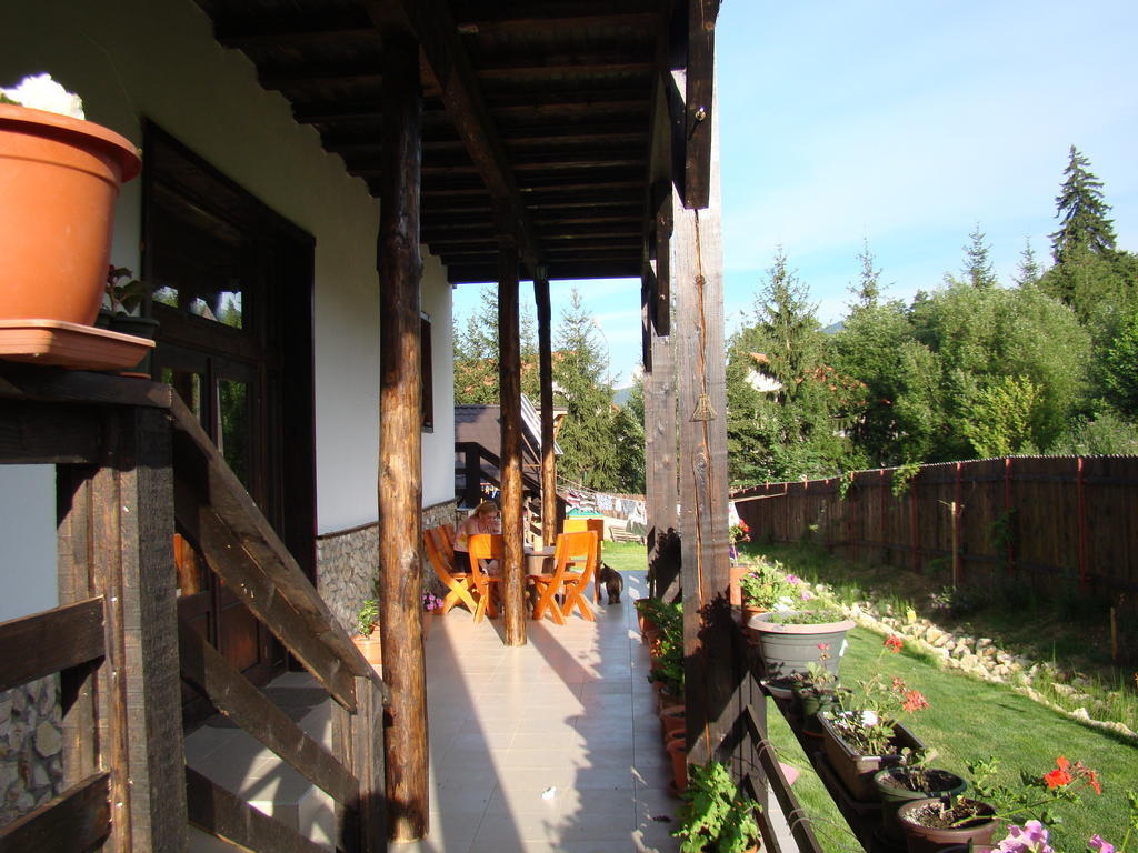 Hotel Dumbrava Soarelui Brașov Exterior foto